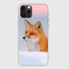 Чехол для iPhone 12 Pro Max с принтом Morning в Кировске, Силикон |  | Тематика изображения на принте: fox | red | лиса | лисенок | рыжая