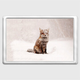 Магнит 45*70 с принтом Snow в Кировске, Пластик | Размер: 78*52 мм; Размер печати: 70*45 | fox | red | лиса | лисенок | рыжая