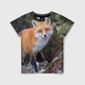 Детская футболка 3D с принтом Лес в Кировске, 100% гипоаллергенный полиэфир | прямой крой, круглый вырез горловины, длина до линии бедер, чуть спущенное плечо, ткань немного тянется | Тематика изображения на принте: fox | red | лиса | лисенок | рыжая