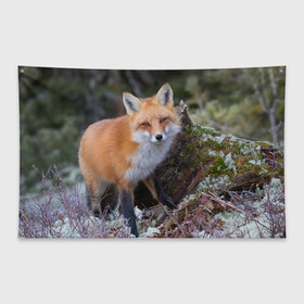 Флаг-баннер с принтом Лес в Кировске, 100% полиэстер | размер 67 х 109 см, плотность ткани — 95 г/м2; по краям флага есть четыре люверса для крепления | fox | red | лиса | лисенок | рыжая