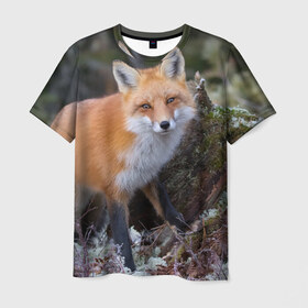 Мужская футболка 3D с принтом Лес в Кировске, 100% полиэфир | прямой крой, круглый вырез горловины, длина до линии бедер | fox | red | лиса | лисенок | рыжая
