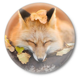 Значок с принтом Соня в Кировске,  металл | круглая форма, металлическая застежка в виде булавки | Тематика изображения на принте: fox | red | лиса | лисенок | рыжая