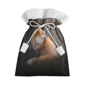 Подарочный 3D мешок с принтом Лиса в Кировске, 100% полиэстер | Размер: 29*39 см | fox | red | лиса | лисенок | рыжая