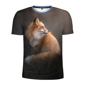 Мужская футболка 3D спортивная с принтом Лиса в Кировске, 100% полиэстер с улучшенными характеристиками | приталенный силуэт, круглая горловина, широкие плечи, сужается к линии бедра | Тематика изображения на принте: fox | red | лиса | лисенок | рыжая