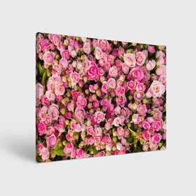 Холст прямоугольный с принтом Розовый рай в Кировске, 100% ПВХ |  | Тематика изображения на принте: бутон | лепестки | роза | розовый | розочка | цветок | цветы