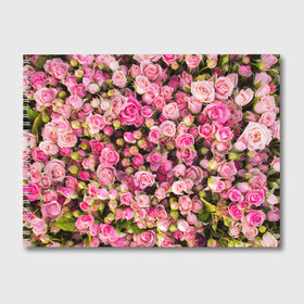Альбом для рисования с принтом Розовый рай в Кировске, 100% бумага
 | матовая бумага, плотность 200 мг. | Тематика изображения на принте: бутон | лепестки | роза | розовый | розочка | цветок | цветы
