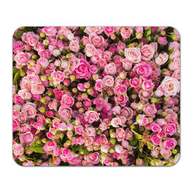 Коврик прямоугольный с принтом Розовый рай в Кировске, натуральный каучук | размер 230 х 185 мм; запечатка лицевой стороны | Тематика изображения на принте: бутон | лепестки | роза | розовый | розочка | цветок | цветы