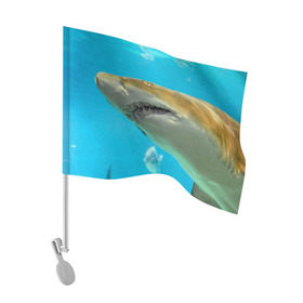 Флаг для автомобиля с принтом Тигровая акула в Кировске, 100% полиэстер | Размер: 30*21 см | голубое море | океан | рыба