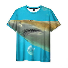 Мужская футболка 3D с принтом Тигровая акула в Кировске, 100% полиэфир | прямой крой, круглый вырез горловины, длина до линии бедер | голубое море | океан | рыба