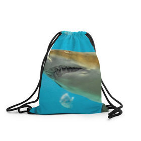 Рюкзак-мешок 3D с принтом Тигровая акула в Кировске, 100% полиэстер | плотность ткани — 200 г/м2, размер — 35 х 45 см; лямки — толстые шнурки, застежка на шнуровке, без карманов и подкладки | Тематика изображения на принте: голубое море | океан | рыба