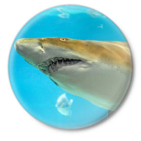 Значок с принтом Тигровая акула в Кировске,  металл | круглая форма, металлическая застежка в виде булавки | голубое море | океан | рыба