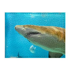 Обложка для студенческого билета с принтом Тигровая акула в Кировске, натуральная кожа | Размер: 11*8 см; Печать на всей внешней стороне | голубое море | океан | рыба