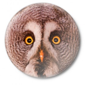 Значок с принтом Кофе в Кировске,  металл | круглая форма, металлическая застежка в виде булавки | Тематика изображения на принте: owl | мудрость | птица | сова | филин