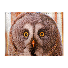 Обложка для студенческого билета с принтом Кофе в Кировске, натуральная кожа | Размер: 11*8 см; Печать на всей внешней стороне | Тематика изображения на принте: owl | мудрость | птица | сова | филин