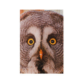 Обложка для паспорта матовая кожа с принтом Кофе в Кировске, натуральная матовая кожа | размер 19,3 х 13,7 см; прозрачные пластиковые крепления | Тематика изображения на принте: owl | мудрость | птица | сова | филин