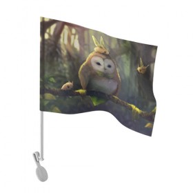 Флаг для автомобиля с принтом Волшебная Сова в Кировске, 100% полиэстер | Размер: 30*21 см | owl | мудрость | птица | сова | филин