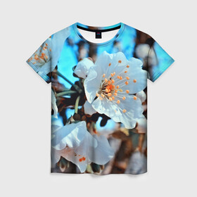 Женская футболка 3D с принтом Весна в Кировске, 100% полиэфир ( синтетическое хлопкоподобное полотно) | прямой крой, круглый вырез горловины, длина до линии бедер | 3d | flower | весна | другие | красивые цветы | красные | лето | поле | полевой цветок | прикольные | природа | текстуры | цветочки | цветы