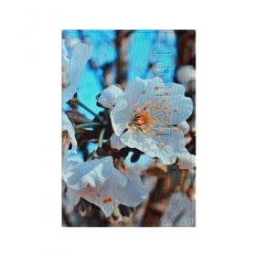 Обложка для паспорта матовая кожа с принтом Весна в Кировске, натуральная матовая кожа | размер 19,3 х 13,7 см; прозрачные пластиковые крепления | 3d | flower | весна | другие | красивые цветы | красные | лето | поле | полевой цветок | прикольные | природа | текстуры | цветочки | цветы
