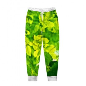 Мужские брюки 3D с принтом Зелёные листья в Кировске, 100% полиэстер | манжеты по низу, эластичный пояс регулируется шнурком, по бокам два кармана без застежек, внутренняя часть кармана из мелкой сетки | 