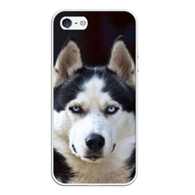 Чехол для iPhone 5/5S матовый с принтом Хаски в Кировске, Силикон | Область печати: задняя сторона чехла, без боковых панелей | dog | лабрадор | мопс | пес | собака | такса | хаски | щеночек