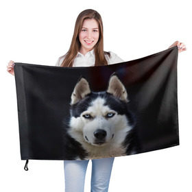 Флаг 3D с принтом Хаски в Кировске, 100% полиэстер | плотность ткани — 95 г/м2, размер — 67 х 109 см. Принт наносится с одной стороны | dog | лабрадор | мопс | пес | собака | такса | хаски | щеночек