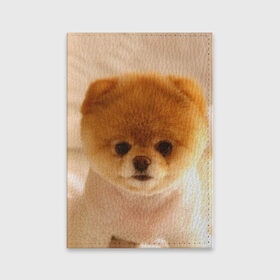Обложка для паспорта матовая кожа с принтом Пушистик в Кировске, натуральная матовая кожа | размер 19,3 х 13,7 см; прозрачные пластиковые крепления | dog | пес | померанский | собака | шпиц | щеночек