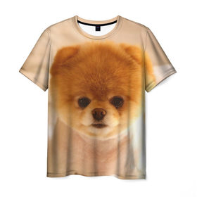 Мужская футболка 3D с принтом Пушистик в Кировске, 100% полиэфир | прямой крой, круглый вырез горловины, длина до линии бедер | Тематика изображения на принте: dog | пес | померанский | собака | шпиц | щеночек