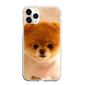 Чехол для iPhone 11 Pro матовый с принтом Пушистик в Кировске, Силикон |  | dog | пес | померанский | собака | шпиц | щеночек