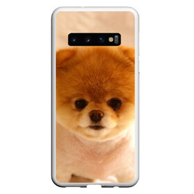 Чехол для Samsung Galaxy S10 с принтом Пушистик в Кировске, Силикон | Область печати: задняя сторона чехла, без боковых панелей | dog | пес | померанский | собака | шпиц | щеночек