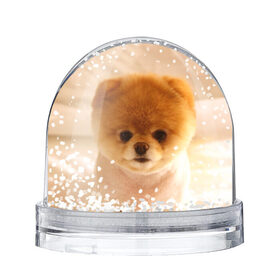 Снежный шар с принтом Пушистик в Кировске, Пластик | Изображение внутри шара печатается на глянцевой фотобумаге с двух сторон | dog | пес | померанский | собака | шпиц | щеночек