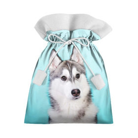 Подарочный 3D мешок с принтом Blue в Кировске, 100% полиэстер | Размер: 29*39 см | dog | бандит | пес | собака | хаски | хаски бандит | щеночек