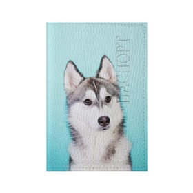 Обложка для паспорта матовая кожа с принтом Blue в Кировске, натуральная матовая кожа | размер 19,3 х 13,7 см; прозрачные пластиковые крепления | dog | бандит | пес | собака | хаски | хаски бандит | щеночек