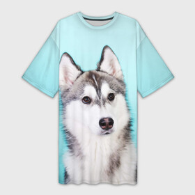 Платье-футболка 3D с принтом Blue в Кировске,  |  | dog | бандит | пес | собака | хаски | хаски бандит | щеночек
