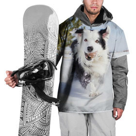 Накидка на куртку 3D с принтом Snow в Кировске, 100% полиэстер |  | Тематика изображения на принте: dog | бордер | бордер колли | колли | пес | собака