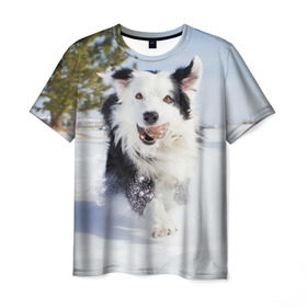 Мужская футболка 3D с принтом Snow в Кировске, 100% полиэфир | прямой крой, круглый вырез горловины, длина до линии бедер | dog | бордер | бордер колли | колли | пес | собака
