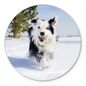 Коврик круглый с принтом Snow в Кировске, резина и полиэстер | круглая форма, изображение наносится на всю лицевую часть | dog | бордер | бордер колли | колли | пес | собака
