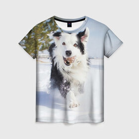 Женская футболка 3D с принтом Snow в Кировске, 100% полиэфир ( синтетическое хлопкоподобное полотно) | прямой крой, круглый вырез горловины, длина до линии бедер | dog | бордер | бордер колли | колли | пес | собака