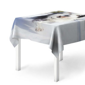 Скатерть 3D с принтом Snow в Кировске, 100% полиэстер (ткань не мнется и не растягивается) | Размер: 150*150 см | dog | бордер | бордер колли | колли | пес | собака