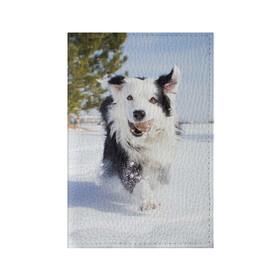 Обложка для паспорта матовая кожа с принтом Snow в Кировске, натуральная матовая кожа | размер 19,3 х 13,7 см; прозрачные пластиковые крепления | Тематика изображения на принте: dog | бордер | бордер колли | колли | пес | собака