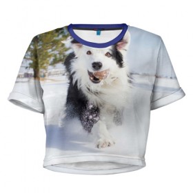 Женская футболка 3D укороченная с принтом Snow в Кировске, 100% полиэстер | круглая горловина, длина футболки до линии талии, рукава с отворотами | dog | бордер | бордер колли | колли | пес | собака