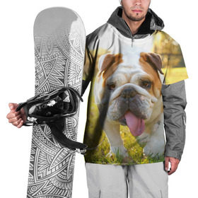 Накидка на куртку 3D с принтом Funny Dog в Кировске, 100% полиэстер |  | Тематика изображения на принте: dog | английский бульдог | пес | собака