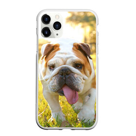 Чехол для iPhone 11 Pro матовый с принтом Funny Dog в Кировске, Силикон |  | dog | английский бульдог | пес | собака