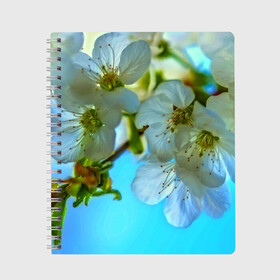 Тетрадь с принтом Цветочки на дереве в Кировске, 100% бумага | 48 листов, плотность листов — 60 г/м2, плотность картонной обложки — 250 г/м2. Листы скреплены сбоку удобной пружинной спиралью. Уголки страниц и обложки скругленные. Цвет линий — светло-серый
 | 3d | flower | весна | другие | красивые цветы | лето | поле | полевой цветок | прикольные | природа | текстуры | цветочки | цветы
