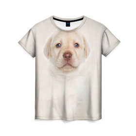 Женская футболка 3D с принтом Лабрадор в Кировске, 100% полиэфир ( синтетическое хлопкоподобное полотно) | прямой крой, круглый вырез горловины, длина до линии бедер | dog | labrador | puppy | порода | собака | собачка | щенок