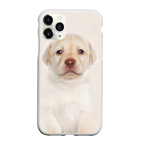 Чехол для iPhone 11 Pro матовый с принтом Лабрадор в Кировске, Силикон |  | dog | labrador | puppy | порода | собака | собачка | щенок