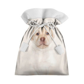 Подарочный 3D мешок с принтом Лабрадор в Кировске, 100% полиэстер | Размер: 29*39 см | Тематика изображения на принте: dog | labrador | puppy | порода | собака | собачка | щенок