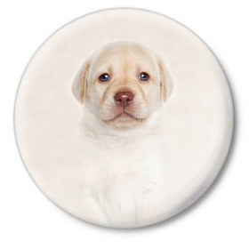 Значок с принтом Лабрадор в Кировске,  металл | круглая форма, металлическая застежка в виде булавки | dog | labrador | puppy | порода | собака | собачка | щенок