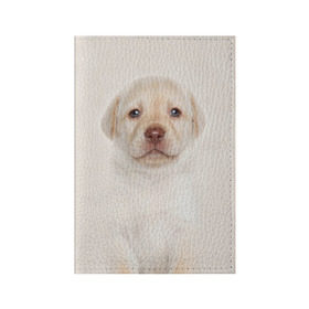 Обложка для паспорта матовая кожа с принтом Лабрадор в Кировске, натуральная матовая кожа | размер 19,3 х 13,7 см; прозрачные пластиковые крепления | dog | labrador | puppy | порода | собака | собачка | щенок