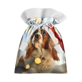 Подарочный 3D мешок с принтом Рождество в Кировске, 100% полиэстер | Размер: 29*39 см | dog | кавалер кинг чарльз спаниель | новый год | пес | рождество | собака