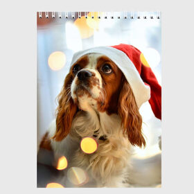 Скетчбук с принтом Рождество в Кировске, 100% бумага
 | 48 листов, плотность листов — 100 г/м2, плотность картонной обложки — 250 г/м2. Листы скреплены сверху удобной пружинной спиралью | Тематика изображения на принте: dog | кавалер кинг чарльз спаниель | новый год | пес | рождество | собака